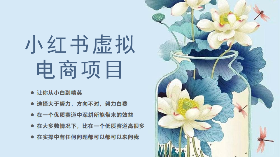 小红书虚拟电商从0到1小白到精英（20节实操课程）-项目网