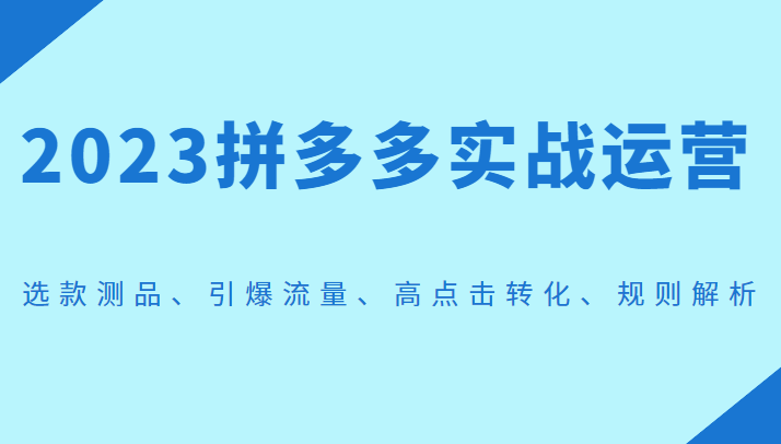 2023拼多多实战运营，选款测品、引爆流量、高点击转化、规则解析-项目网