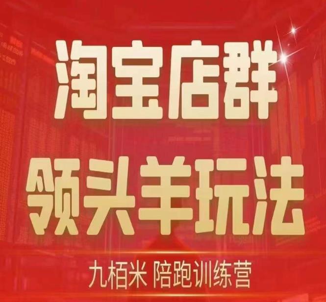 九栢米-淘宝店群领头羊玩法，教你整个淘宝店群领头羊玩法以及精细化/终极蓝海/尾销等内容-项目网