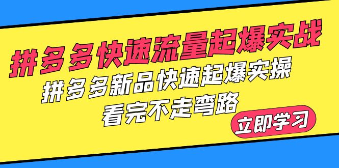 (6253期)拼多多-快速流量起爆实战,拼多多新品快速起爆实操,看完不走弯路 (6253期)拼多多-快速流量起爆实战,拼多多新品快速起爆实操,看完不走弯路