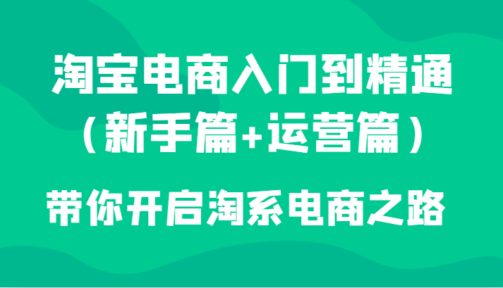 淘宝电商入门到精通（新手篇+运营篇）带你开启淘系电商之路-项目网
