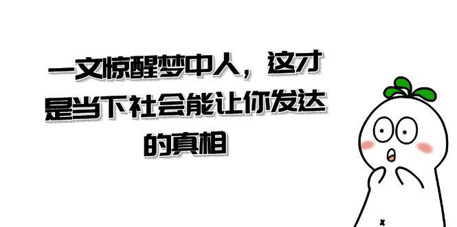 某公众号付费文章《一文 惊醒梦中人，这才是当下社会能让你发达的真相》-项目网