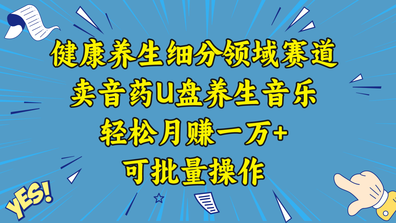 五行音乐养生：细分领域赛道卖音药U盘，打造轻松月赚一万+的健康养生项目-项目网