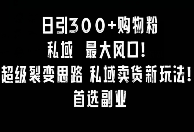 每日引300+购物粉，超级裂变新思路，私域卖货新玩法，小红书首选副业-项目网