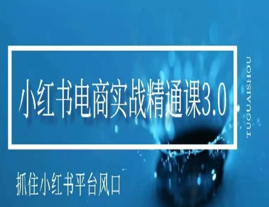 小红书电商实战课程，抓住小红书平台的风口，不错过有一个赚钱的机会-项目网