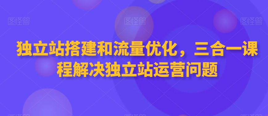 独立站搭建和流量优化，三合一课程解决独立站运营问题-项目网
