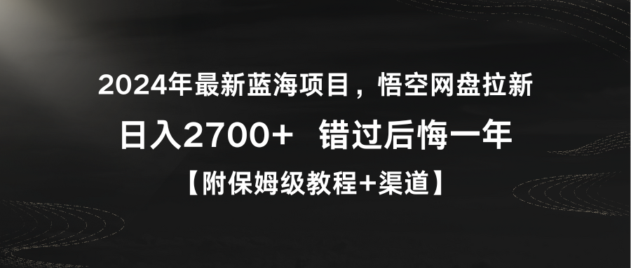 2024年最新蓝海悟空网盘拉新，日入2700+错过后悔一年【附保姆级教程+渠道】-项目网