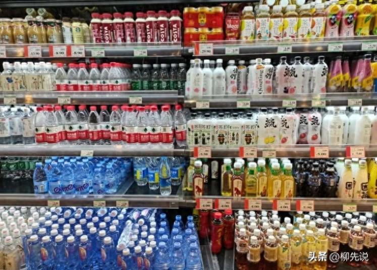 2024中国软饮料新排位：李子园第9，承德露露第6，康师傅位居第3-项目网