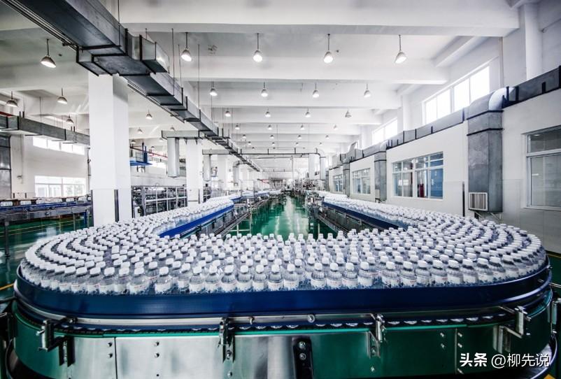 图片[2]-2024中国软饮料新排位：李子园第9，承德露露第6，康师傅位居第3-项目网