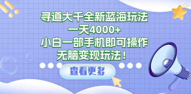 寻道大千全新蓝海玩法，一天4000+，小白一部手机即可操作，无脑变现玩法！-项目网