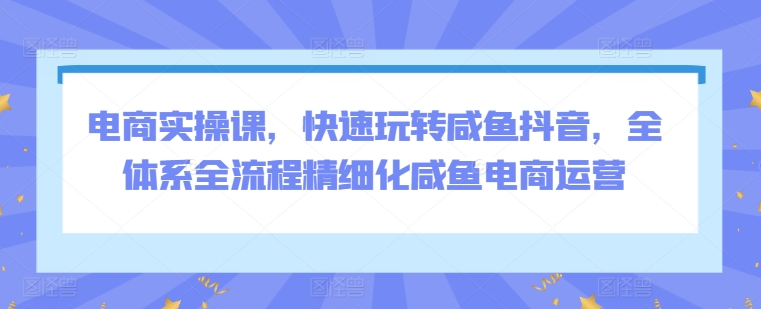 电商实操课，快速玩转咸鱼抖音，全体系全流程精细化咸鱼电商运营-项目网