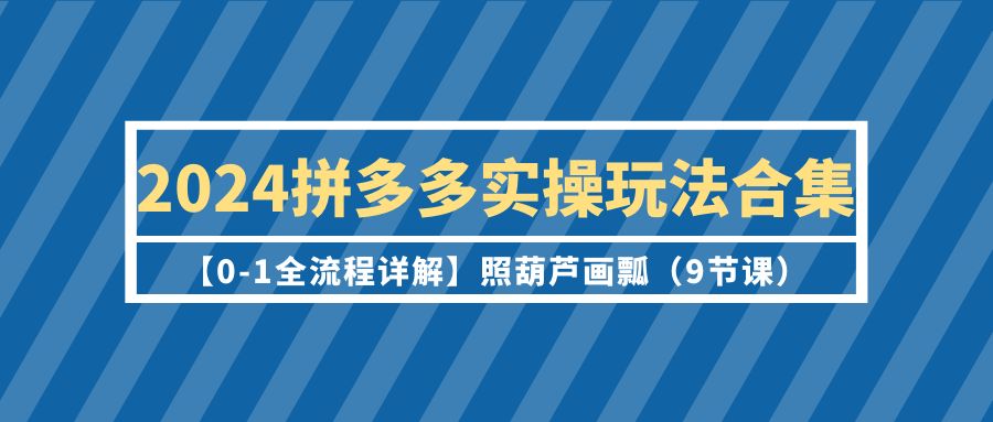 2024年拼多多运营实操玩法合集【0-1全流程详解】照葫芦画瓢（9节课）-项目网