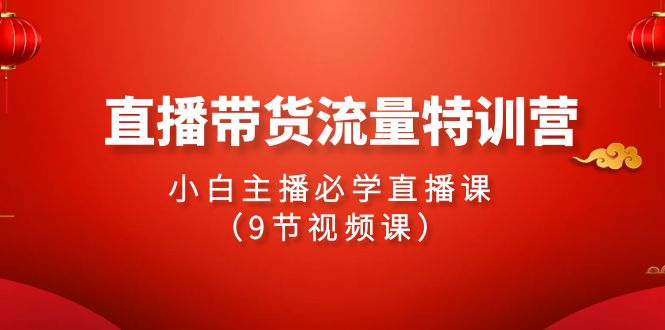 24年直播带货流量特训课，新手小白主播必学直播课（9节视频课）-项目网
