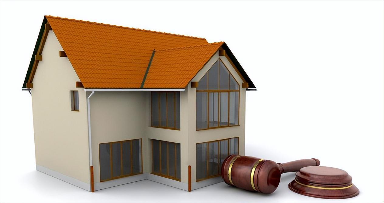 图片[3]-法院拍卖的房子这么便宜，为什么却很少有人买？看完你还敢买吗？-项目网