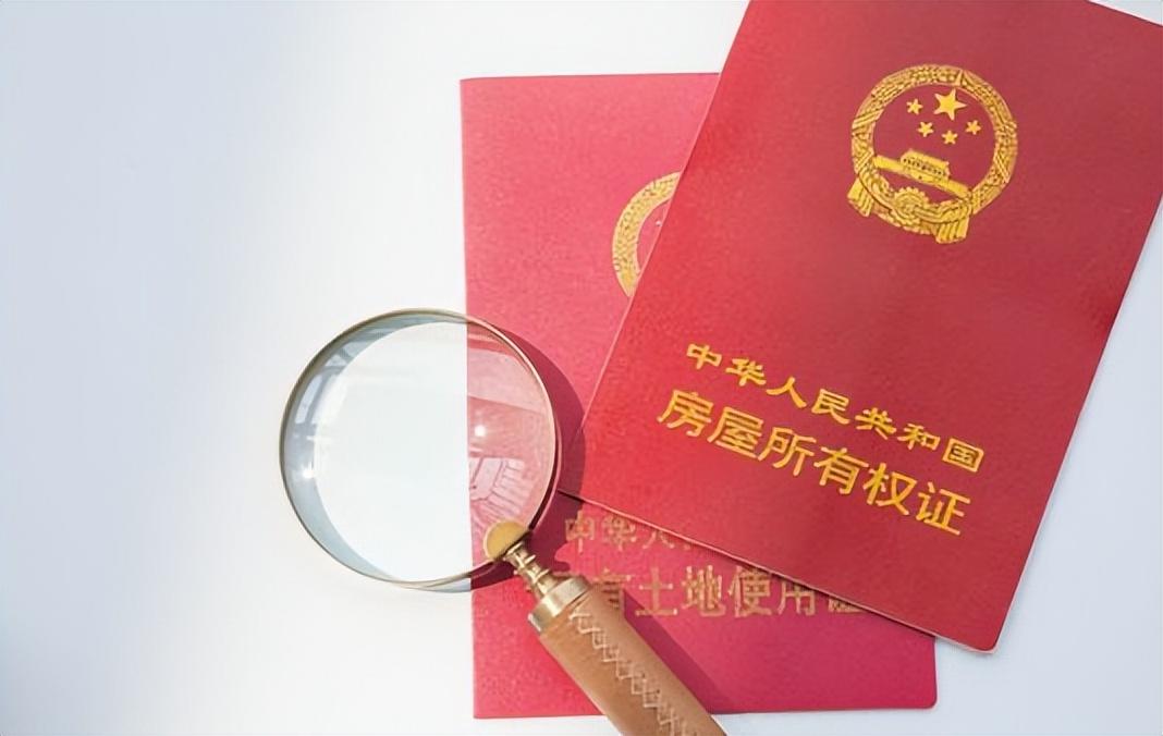 图片[4]-法院拍卖的房子这么便宜，为什么却很少有人买？看完你还敢买吗？-项目网