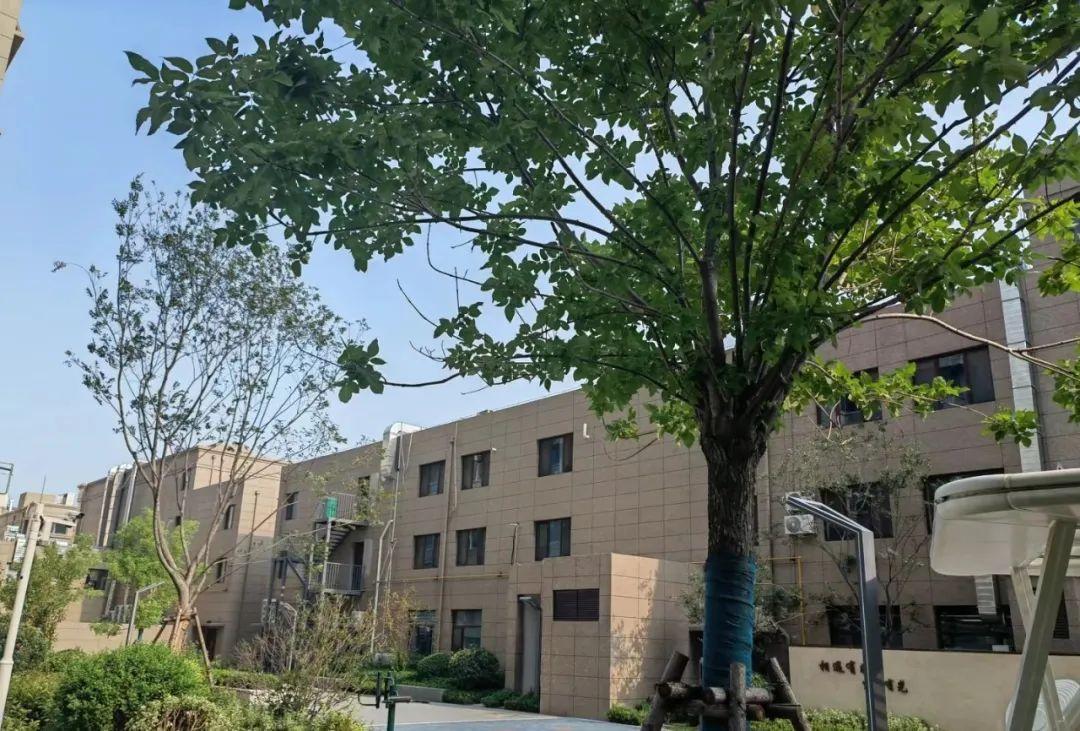 图片[13]-为什么回迁房没人愿意买了？拆迁户称：有3个缺点无法忍受-项目网