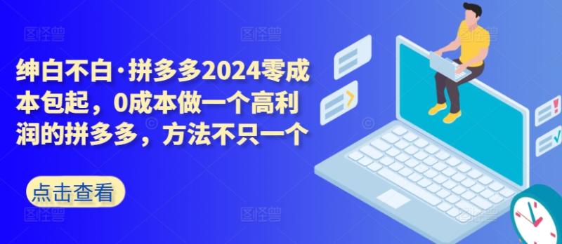 拼多多2024零成本包起，0成本做一个高利润的拼多多，方法不只一个-项目网