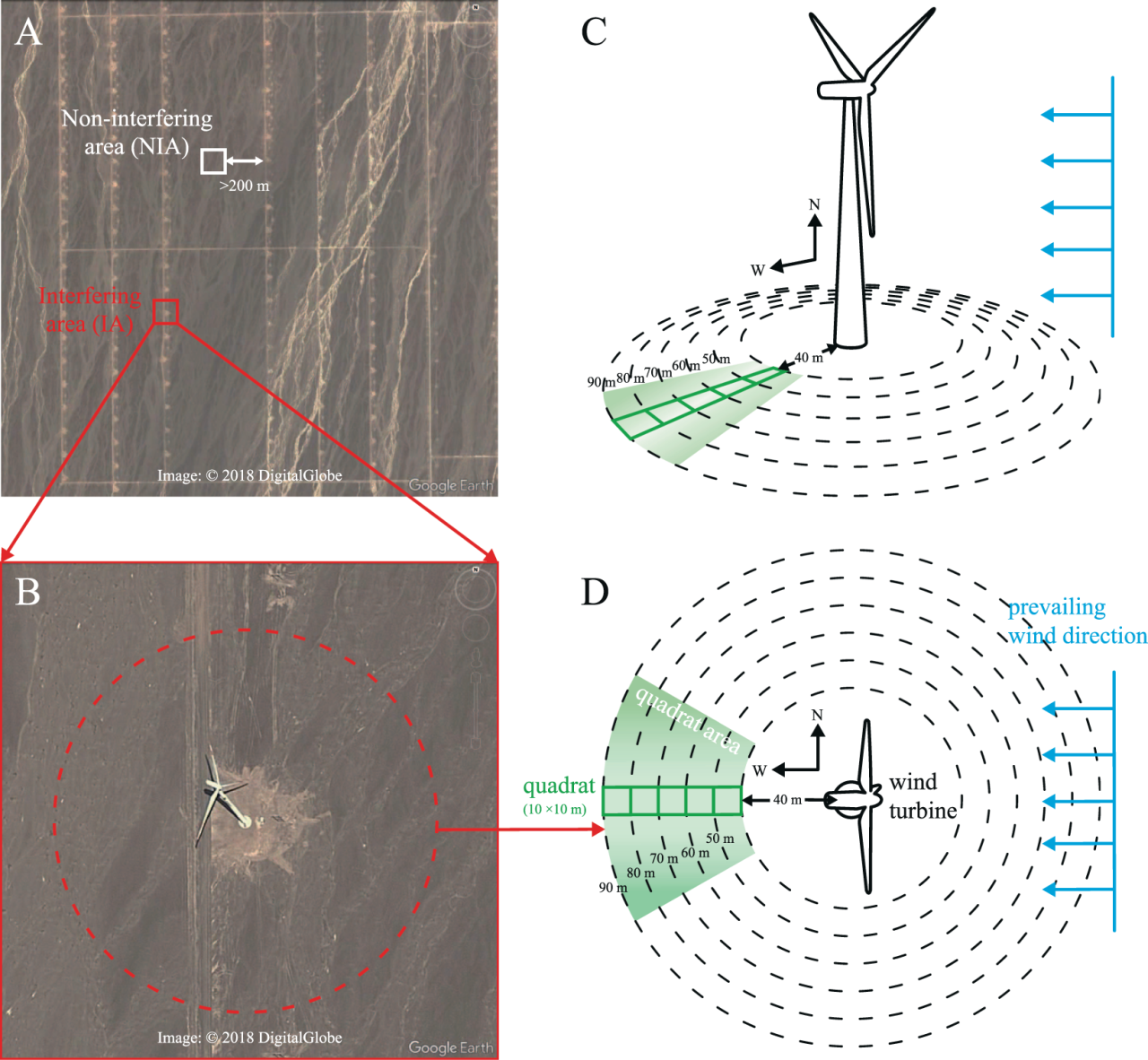图片[7]-风力发电危害有多大？付：欧美眼中的“垃圾电”，中国为何却大力建设？-项目网