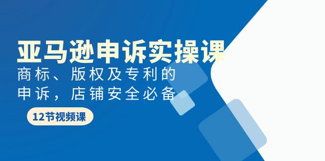 亚马逊-申诉实战课，商标、版权及专利的申诉，店铺安全必备-项目网