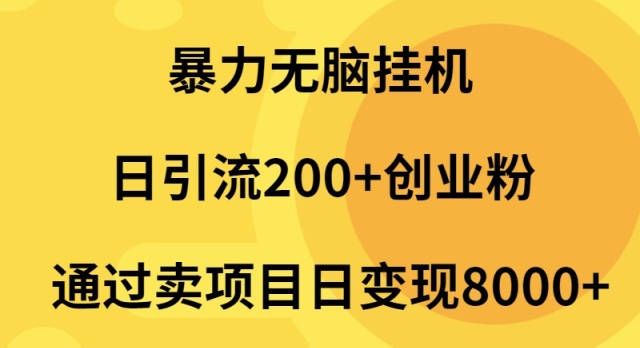 暴力无脑挂机日引流200+创业粉通过卖项目日变现2000+-项目网