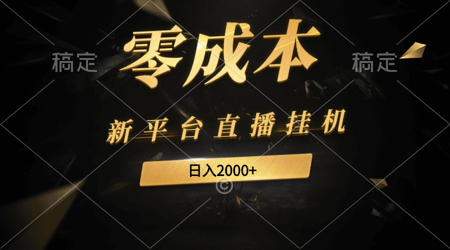 新平台直播挂机最新玩法，0成本，不违规，日入2000+-项目网