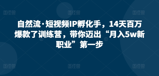 自然流·短视频IP孵化训练营，14天打造百万爆款，带你迈出“月入5W新职业”第一步-项目网
