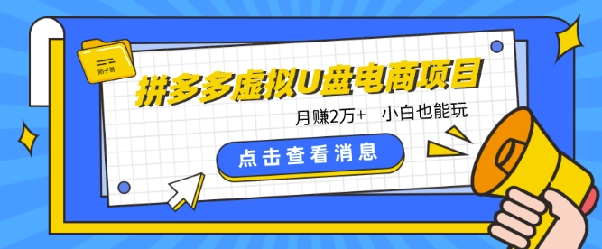 拼多多虚拟U盘电商：月赚2万+，红利项目，普通小白也能玩-项目网