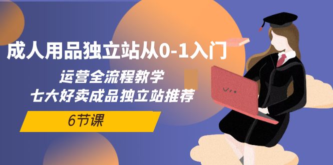 成人用品独立网站从0-1入门：运营全流程教学，七大好卖成品独立站推荐-6节课-项目网