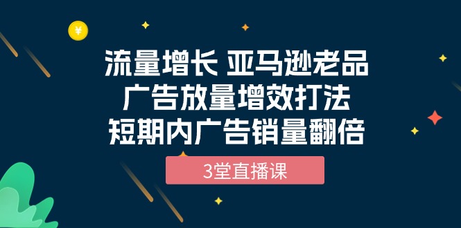 流量增长课程：亚马逊老品广告放量增效打法，短期内广告销量翻倍（3堂直播课）-项目网