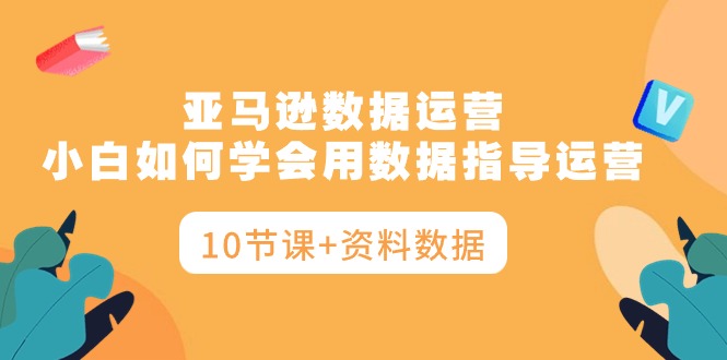 亚马逊运营秘籍：小白如何学会用数据指导运营，让你告别盲目决策（10节课+资料数据）-项目网