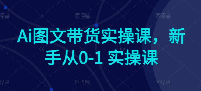 AI赋能电商：新手快速上手图文带货实操课程-项目网