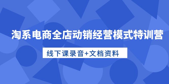 淘系电商运营高手特训：全店动销经营模式，线下课录音+文档资料-项目网