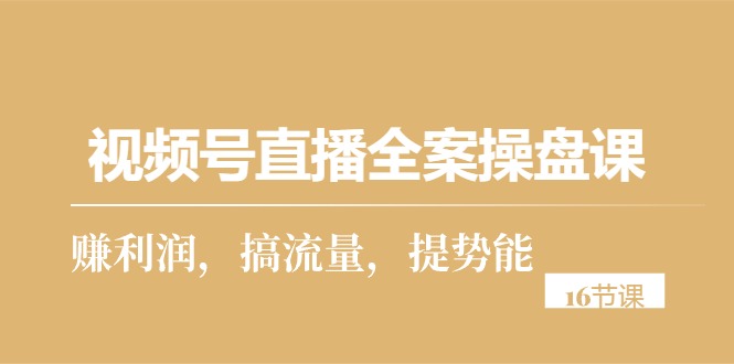 视频号直播实操攻略：从零到一，打造高利润直播间（16节课）-项目网