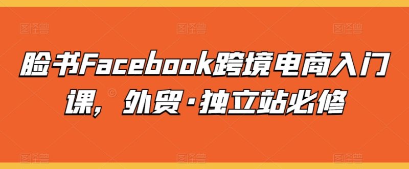 脸书FACEBOOK跨境电商入门课，外贸·独立站必修-项目网