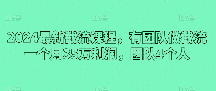 2024最新截流课程，有团队做截流一个月35万利润，团队4个人-项目网