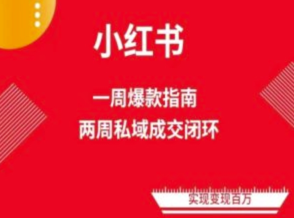 小红书流量秘籍：两周速成爆款笔记，解锁免费流量池-项目网