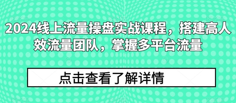 2024流量王者修炼手册：打造高效流量团队，解锁多平台流量秘籍-项目网