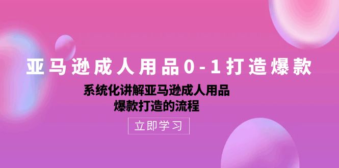 亚马逊成人用品0-1打造爆款课：系统化讲解亚马逊成人用品爆款打造的流程-项目网