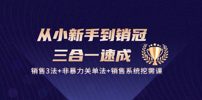 从小新手到销冠 三合一速成：销售3法+非暴力关单法+销售系统挖需课 (27节)-项目网