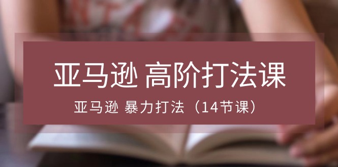 亚马逊 高阶打法课，亚马逊 暴力打法（14节课）-项目网