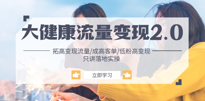 大健康 流量 变现2.0：拓高变现 流量/成高客单/低粉高变现/只讲落地实战-项目网