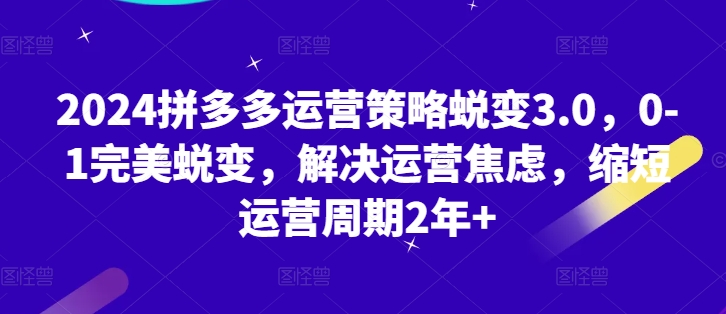 2024拼多多运营策略蜕变3.0，0-1完美蜕变，解决运营焦虑，缩短运营周期2年+-项目网
