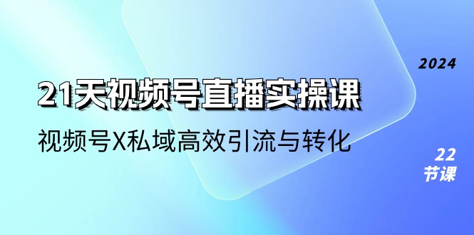 21天-视频号直播实操课，视频号X私域高效引流与转化（22节课）-项目网