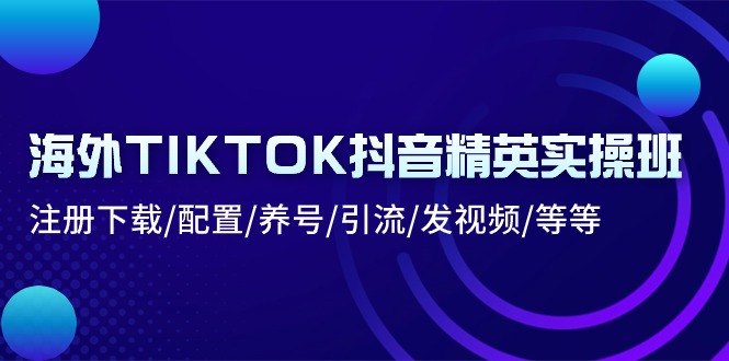 海外TIKTOK抖音精英实操班：注册下载/配置/养号/引流/发视频/等等-项目网