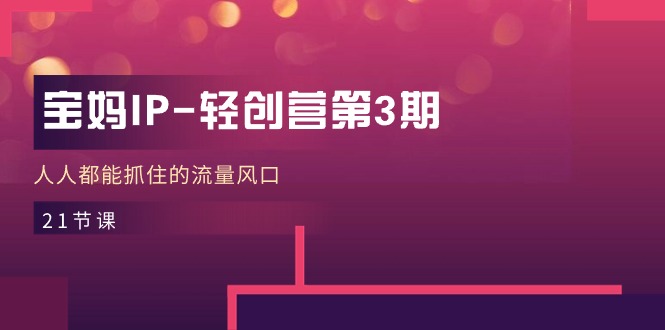 宝妈IP-轻创营第3期，人人都能抓住的流量风口（21节课）-项目网
