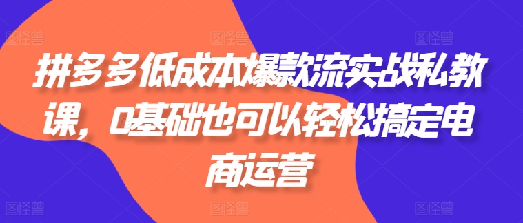 拼多多低成本爆款流实战私教课，0基础也可以轻松搞定电商运营-项目网