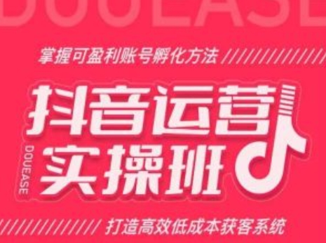 抖音运营实操班，掌握可盈利账号孵化方法，打造高效低成本获客系统-项目网