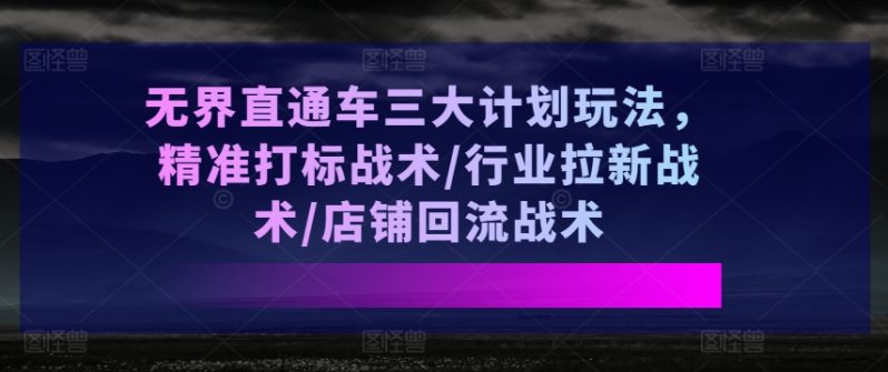 无界直通车三大计划玩法，精准打标战术/行业拉新战术/店铺回流战术-项目网