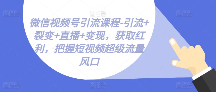 微信视频号引流课程-引流+裂变+直播+变现，获取红利，把握短视频超级流量风口-项目网