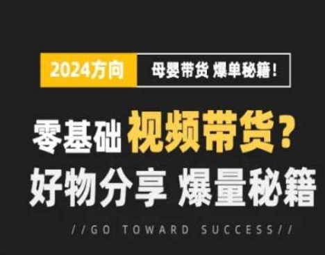 短视频母婴赛道实操流量训练营，零基础视频带货，好物分享，爆量秘籍-项目网
